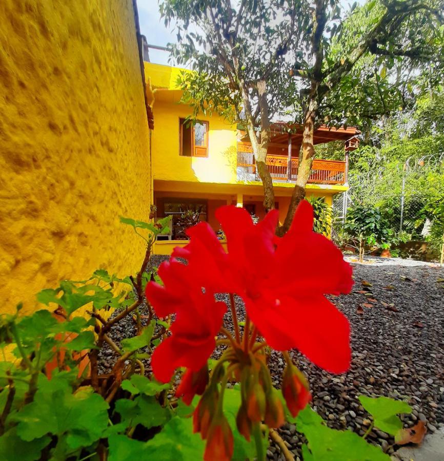 Cafe Racer Hostel Jardín Esterno foto